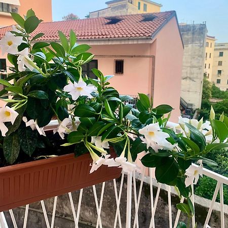 Apartmán Casa Citro Salerno Exteriér fotografie
